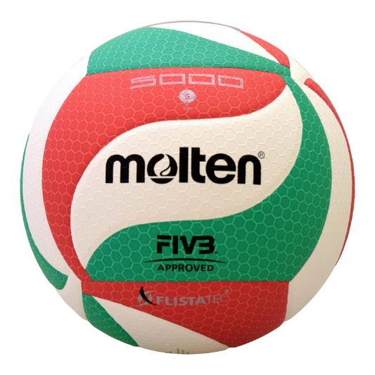 Molten Volley Ball