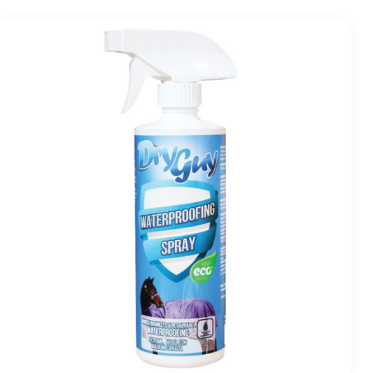 Dry Guy Waterproofing Spray